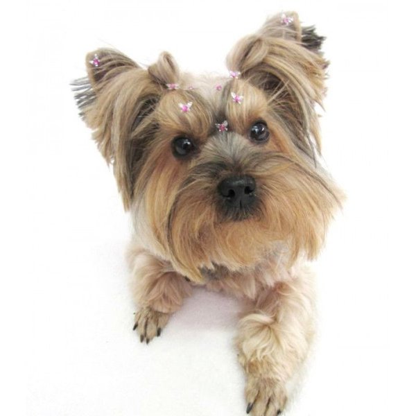 img_0357-min-min_1_1_1