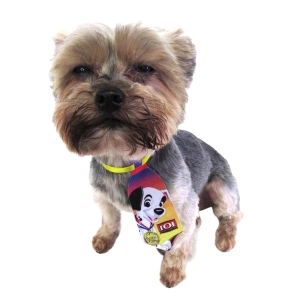 gravatas-pet-gravata-personagens-m-cores-sortidas-escolha-a-quantidade--p-1651092559644