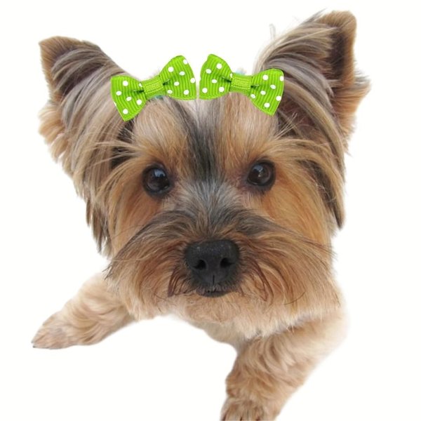 lacos-pet-laco-borboleta-p-pacote-sortido-100-unidades-1645116728764