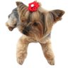 enfeite-penteado-pet-laco-flor-m-043-mc-1658756407947