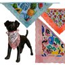 bandanas-pet-bandana-em-renda-10-unidades-sortidas--p-1636148208253