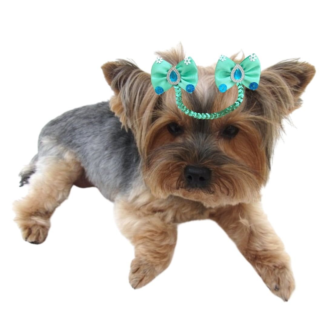 enfeite-penteado-pet-laco-m-com-corrente-carnaval-10-unidades-sortidas--p-1673399461260