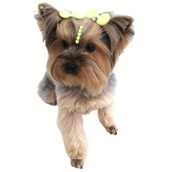 01 laco tricot m com cristal 10 un sortidas