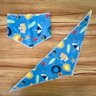 01 bandana pet azul praia 10 un p ao gg