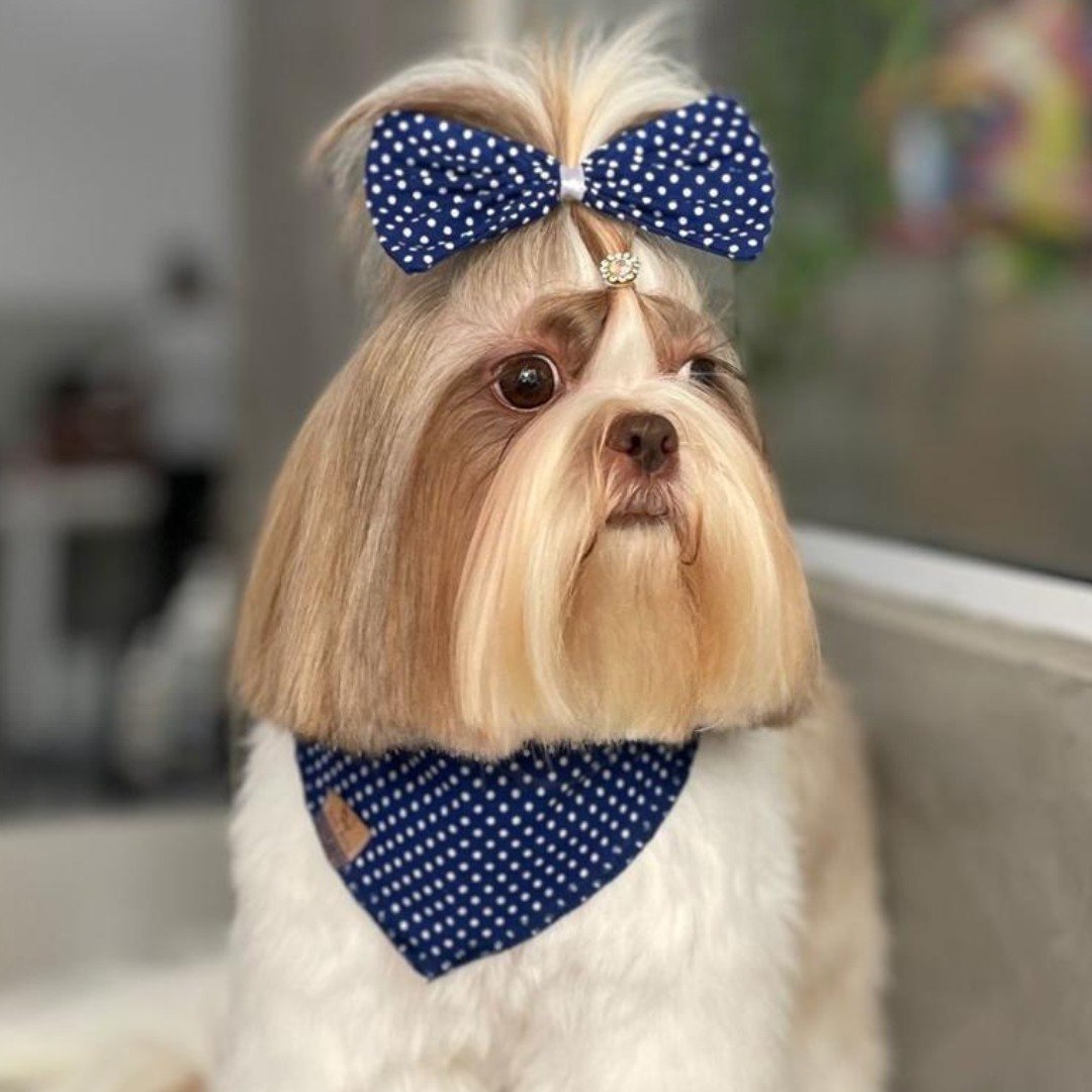 01 kit bandana m e laco mix 10 un 5 kits