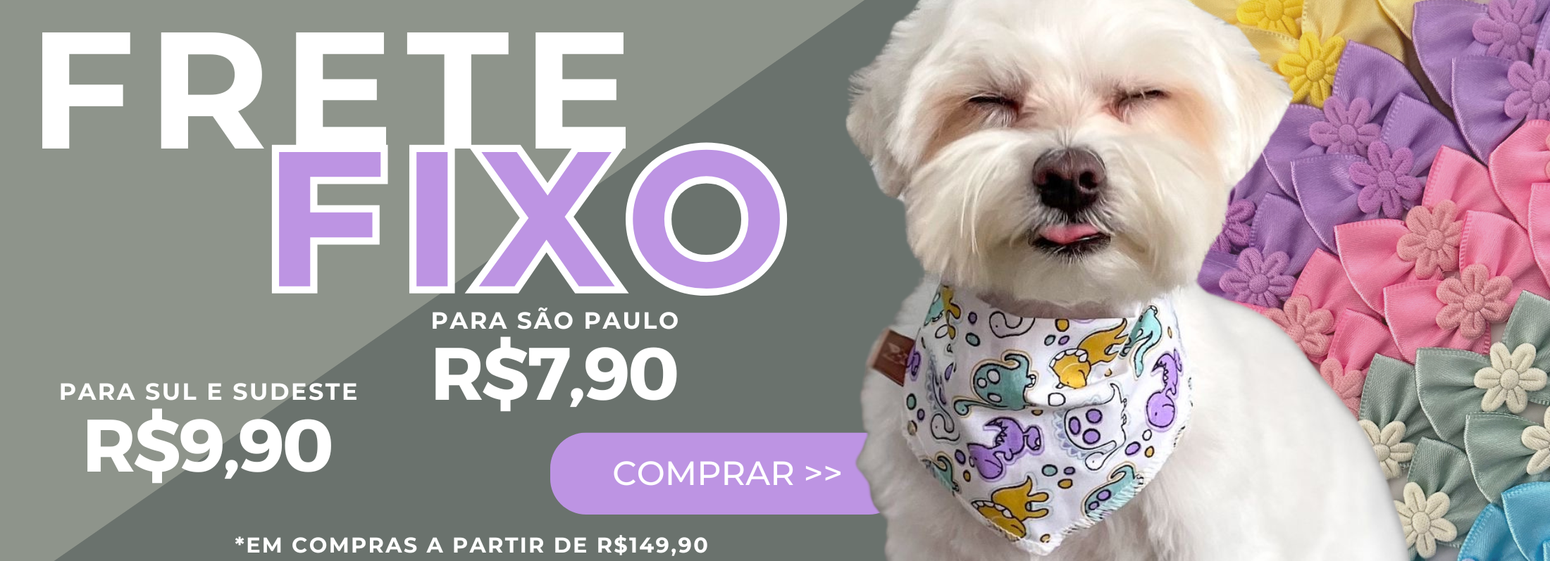 frete fixo desktop