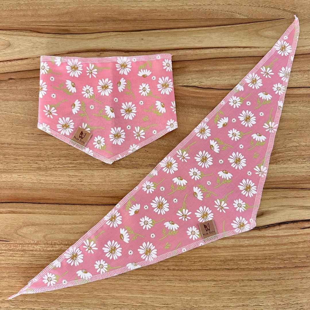 03 off bandana pet branca carro 10 un m ou g m