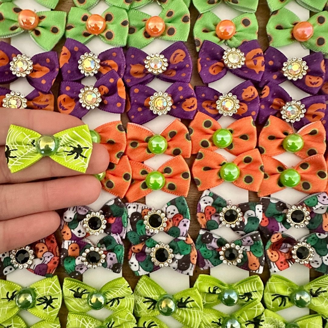 15 laco p halloween 10 un sortidas