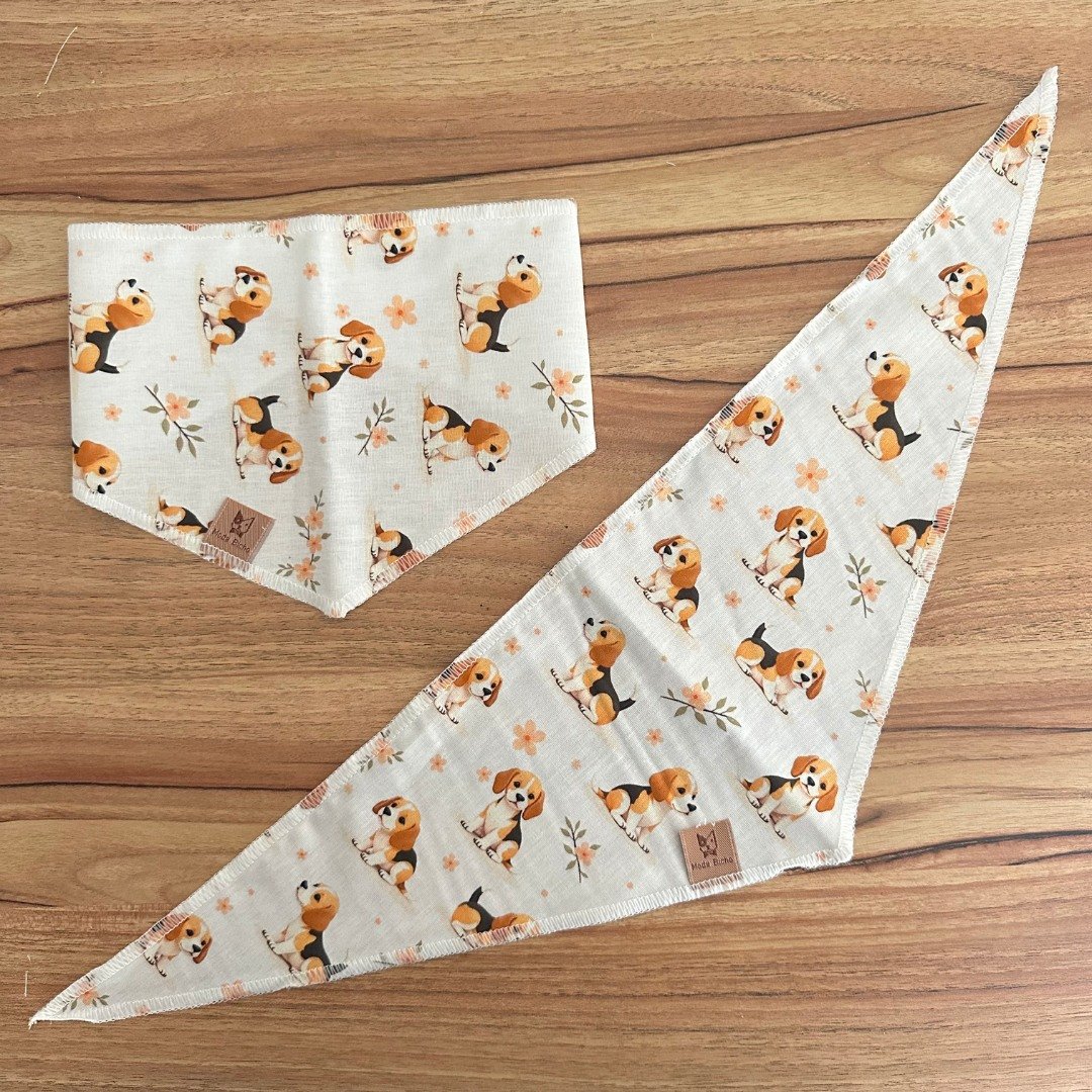 01 bandana pet beagle 10 un p m e g m