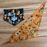 03 bandana pet halloween mix 2 10 un