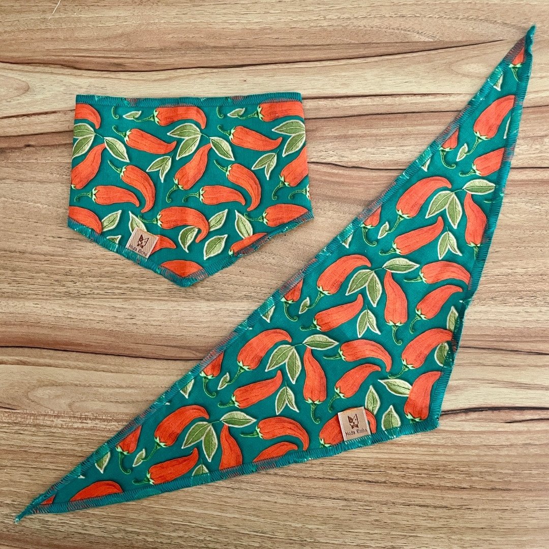01 bandana pet verde pimenta 10 un p m ou g