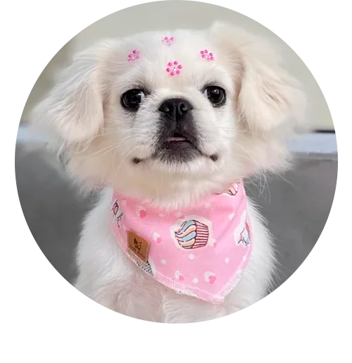 bandanas