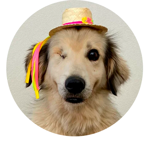 datas festivas