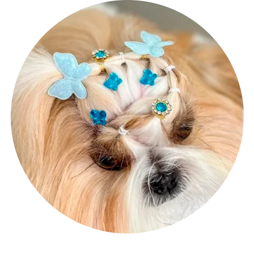 enfeites para penteado