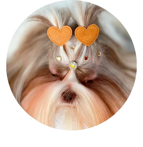 mais vendidos