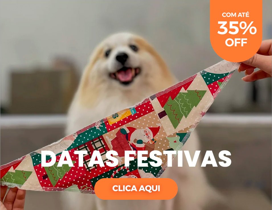 datas festivas quadrado verao