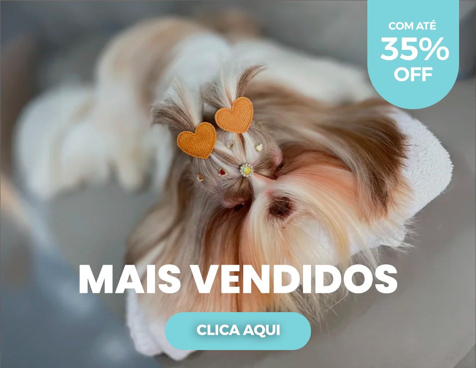 datas festivas quadragtdo verao