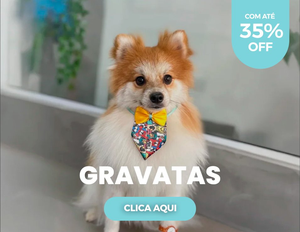 gravatas verao