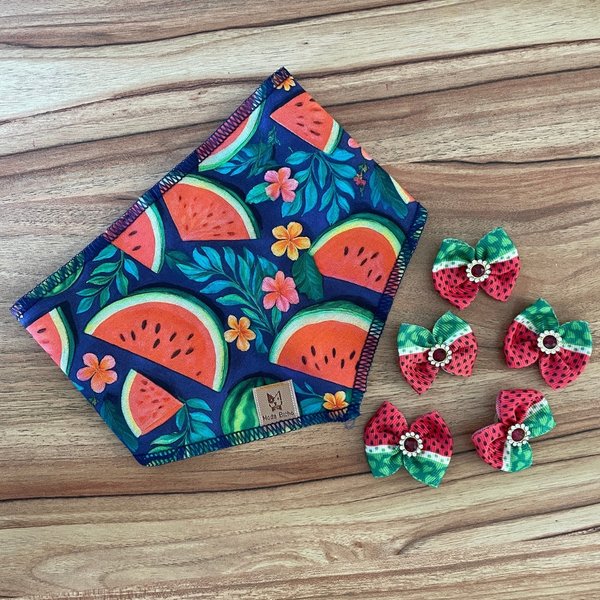 02 kit pet bandana e laco melancia 30 un p m ou g p