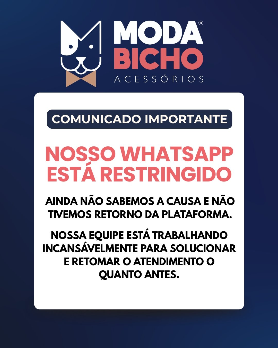 01 kit elastico fino de silicone g 8 000 un