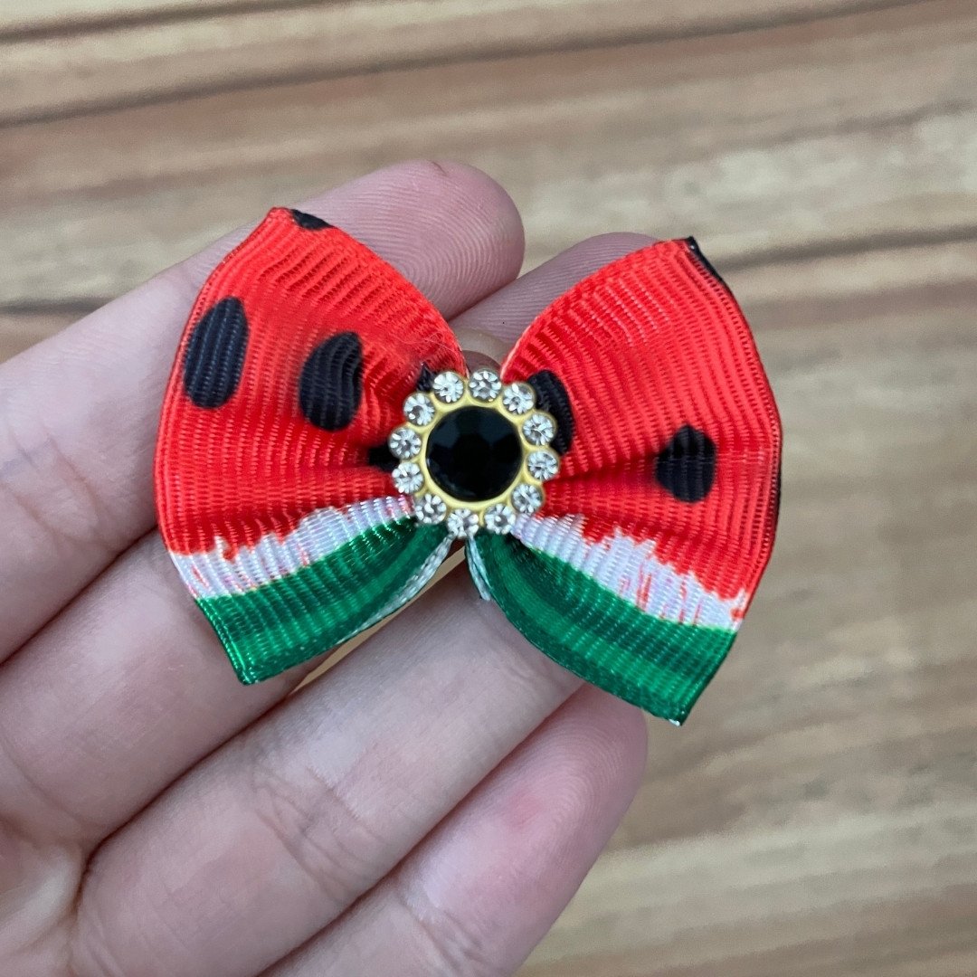 12 laco m melancia 10 un